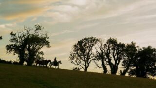 Cavaliere dei sette regni: la rivoluzione della tv fantasy accogliente