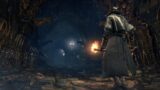 Dark souls incontra bloodborne nella presenza della bestia