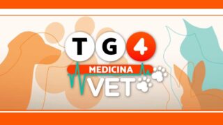 Tg4 medicina vet nasce una nuova rubrica al tg condotta da elisa triani