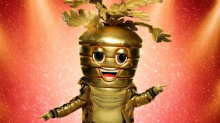 Il cantante mascherato stagione 14 scopri chi è 14 karat carrot spoiler
