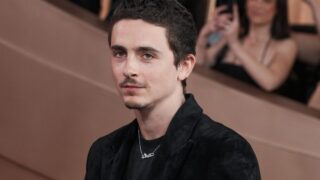 Timothée chalamet rivela il ruolo più rischioso finora che non ha avuto il giusto riconoscimento