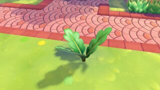 Pokémon pokopia come ottenere foglie