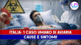 Influenza aviaria in Brianza primo caso umano: cause e sintomi