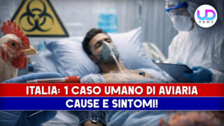Influenza aviaria in Brianza primo caso umano: cause e sintomi