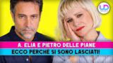 Antonella elia e pietro delle piane ecco perché si sono lasciati