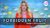 Forbidden Fruit anticipazioni: perché yildiz guiderà il meteo e cosa aspettarsi
