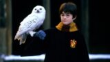 Harry potter hbo svela il primo sguardo alla nuova serie ufficiale