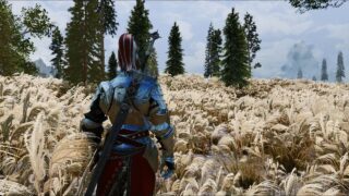 Elder scrolls 6 fans divisi sulla nuova presentazione grafica ufficiale