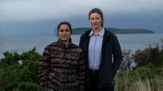 Deadloch season 2: prime video rinnovato e crime comedy australiana conquista il 100% su rotten tomatoes