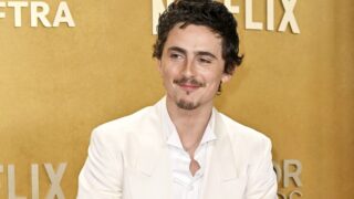 Timothée chalamet adatta un bestseller di ai con brad pitt