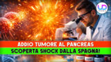 Tumore al pancreas addio: scoperta shock dalla spagna che cambia la ricerca