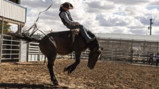 Taylor sheridan nuova serie crime otto puntate aggiunge star originale di yellowstone al cast