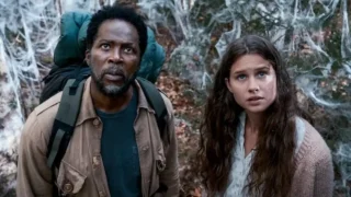 From stagione 4 debutta con il raro 100% su rotten tomatoes prima dell’ultima stagione