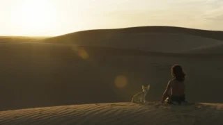 Il figlio del deserto recensione dell’ultimo film di gilles de maistre