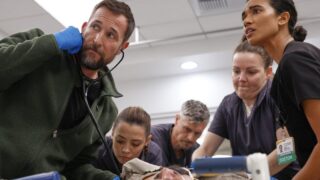 Serie imperdibili da guardare invece del weekend di pasqua senza rinunciare al divertimento