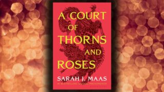 Romantasy netflix in arrivo: il film che risarcirà la cancellazione di acotar