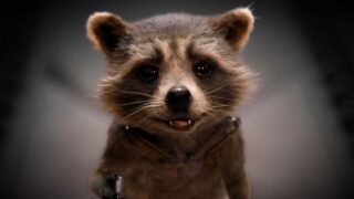Rocket raccoon: vita prima dei guardians of the galaxy spiegata da marvel
