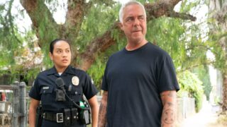 Titus welliver dark winds bosch sostituzione perfetta: il thriller noir che coinvolge