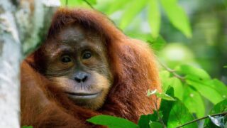 Disney e Hulu aprile 2026: 6 nuovi film da non perdere