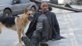 I am legend 2  regista scelto per il seguito di will smith dopo anni di attesa