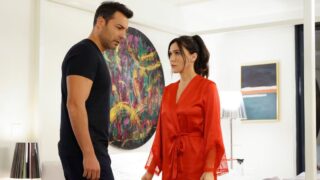 Forbidden Fruit anticipazioni piano perfetto crolla all’ultimo momento nella puntata del 24 aprile