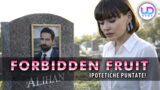 Forbidden fruit ipotetiche puntate: il segreto oscuro di zeynep