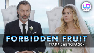 Forbidden fruit yildiz accetta di sposare nadir