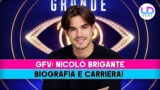 Chi è Nicolò Brigante: da Uomini e Donne al Grande Fratello VIP 2026