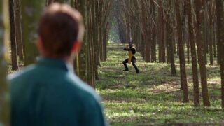 Film di arti marziali per fan di street fighter: 10 titoli imperdibili