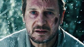 Liam Neeson survival action da 25 milioni: arriva gratis in streaming dopo aver superato il budget