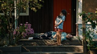 Blue heron review: il miglior film di memoria e drama del 2026 secondo noi