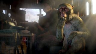 Far cry leak: cosa preoccupa davvero i fan e cosa sappiamo finora