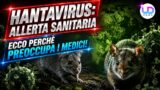 Allerta sanitaria MV Hondius: cos’è l’hantavirus e perché preoccupa i medici