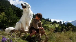 Belle & sebastien spiegazione del finale del film e significato della storia