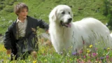 Belle & Sebastien: spiegazione del finale del film