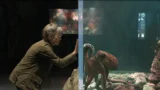 Creature luminose: 7 differenze più importanti tra film e libro