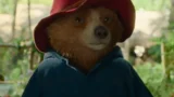 Paddington 4 Armando Iannucci scriverà il  film della saga