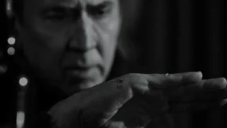 Spider-noir trailer finale bianco e nero e a colori: ecco cosa aspettarsi