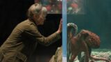 Netflix: film bellissimo che fa piangere e ti distrugge piano piano