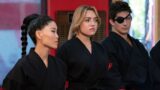 Serie di arti marziali netflix 10 su 10 che rende cobra kai molto meno grande