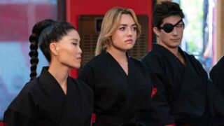 Serie di arti marziali netflix 10 su 10 che rende cobra kai molto meno grande