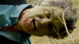 Hulk bruce banner: 12 versioni possibili che potrebbe vedere ancora nel mcu