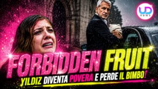 Forbidden Fruit anticipazioni: yildiz perde tutto e torna povera nella nuova puntata di tuche