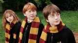 Netflix le serie più viste di sempre: l’unica risposta Harry Potter che serve