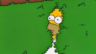 The Simpsons: il meme di Homer tra i cespugli che ci ha ingannati per 32 anni