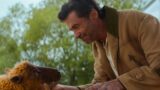 The sheep detectives ending explained: chi ha ucciso george e perché