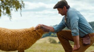 The sheep detectives cast: tutti gli attori che danno la voce alle pecore e ai personaggi