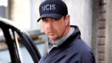 Ncis season 23 finale: confermato larrivo del perfetto sostituto di mcgee