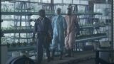Hbo max the last of us senza zombie: perché è quasi perfetto e vale la pena guardarlo