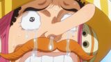One Piece: finalmente consegnato il momento atteso da 20 anni dai fan e non ha deluso